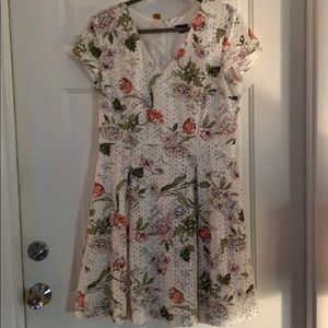 Ann Taylor Dress